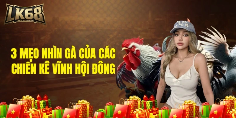 3 mẹo nhìn gà của các chiến kê Vĩnh Hội Đông