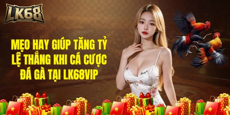 Áp dụng chiến thuật để tối ưu hóa từng phiên cược