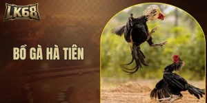Bồ gà Hà Tiên