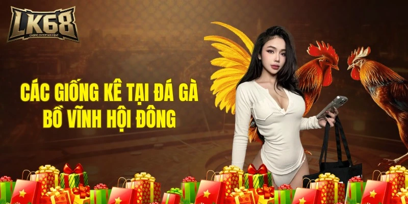 Các giống kê nổi tiếng tại đá gà bồ Vĩnh Hội Đông
