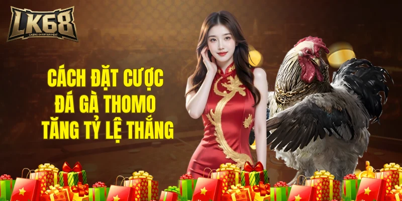 Cách đặt cược đá gà thomo tăng tỷ lệ thắng