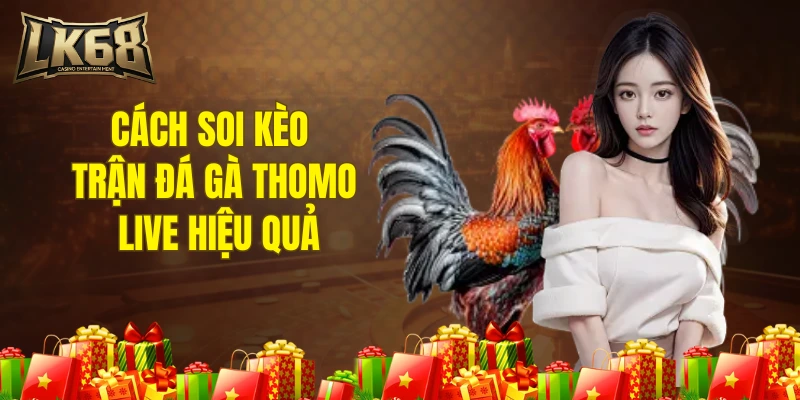 Cách soi kèo trận đá gà thomo live hiệu quả