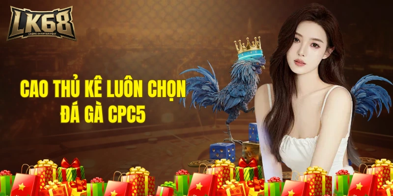 Cao thủ kê luôn chọn đá gà CPC5 