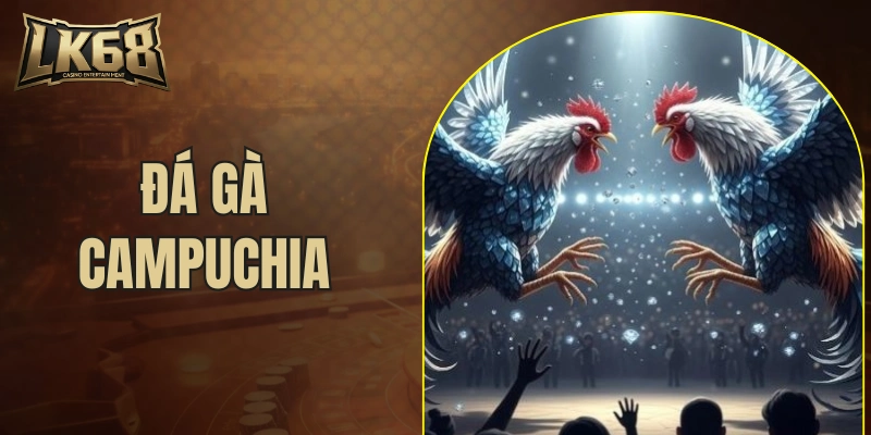 đá gà Campuchia