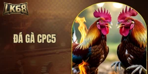 đá gà CPC5