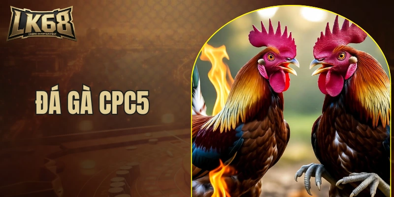 đá gà CPC5