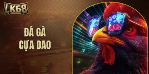 Đá gà cựa dao