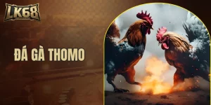 đá gà thomo