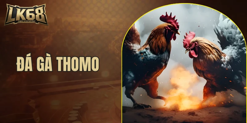 đá gà thomo