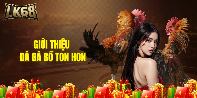 Giới thiệu đá gà bồ Ton hon