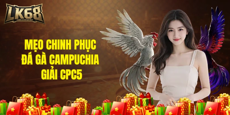Mẹo chinh phục đá gà giải Campuchia cpc5