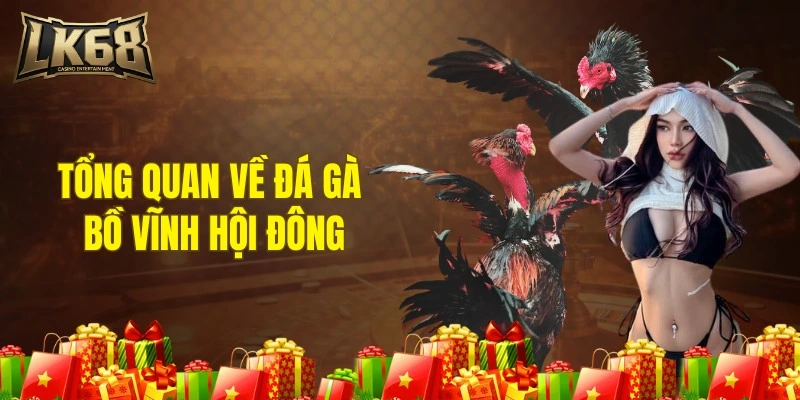 Tổng quan về đá gà bồ Vĩnh Hội Đông