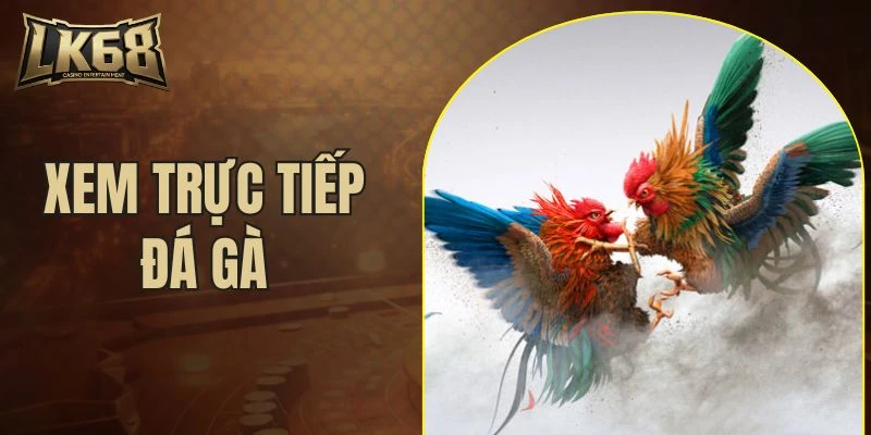 xem trực tiếp đá gà